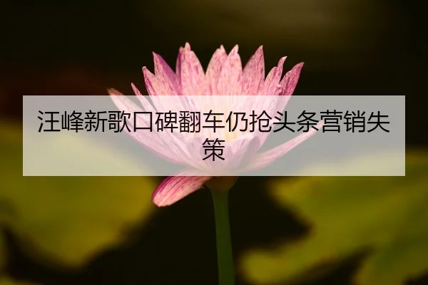 wang-feng-xin-ge-kou-bei-fan-che-reng-qiang-tou-tiao-ying-xiao-shi-ce-2-401.jpg